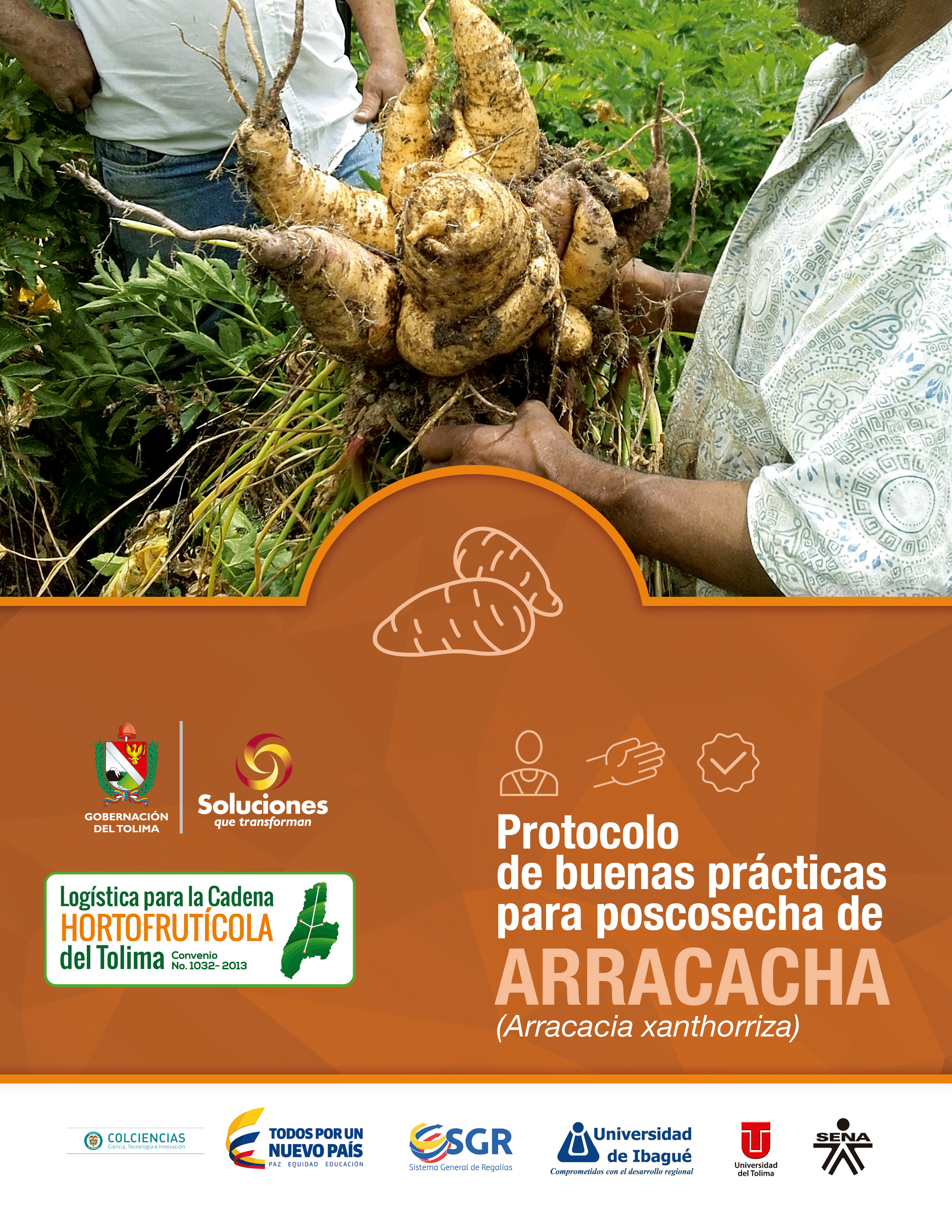 Cover of Protocolo de buenas prácticas para poscosecha de arracacha